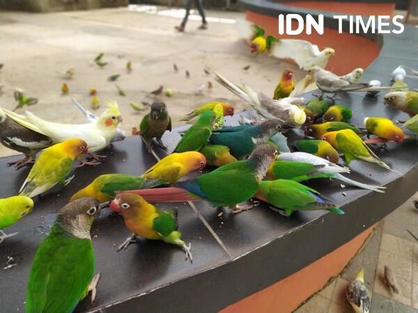 Pemkot Palembang Sidak Pasar Burung untuk Cegah Virus Corona