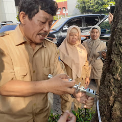 Uji Kesehatan Pohon? Emang perlu? Masuk aja dulu gan