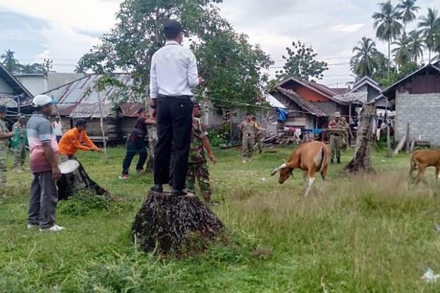 Penegakan Perda, Satpol PP dan DPKP Morowali Tertibkan Hewan Ternak