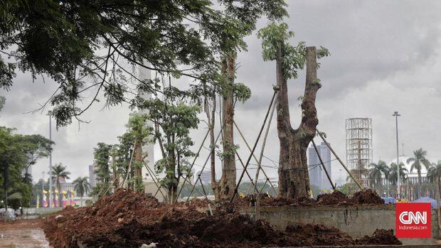 Misteri Keberadaan 190 Pohon Mahoni di Proyek Revitalisasi Anies (PSI Lapor Polisi?)