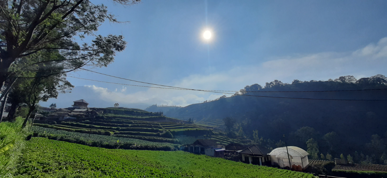 Untuk Desa Ngroto Mereka Mengabdi