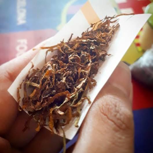 Pengeroyokan hingga Tewaskan Pemuda di Jember Dipicu Sebatang Rokok