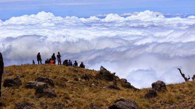 Gerebek Pasangan Mesum Di Gunung, Malah Di Tarik Telanjang Yang Mesum Siapa Nih? 