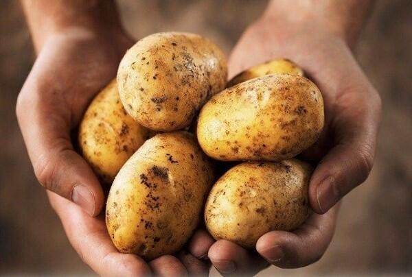 Cara Menyimpan Bawang dengan Benar dan Tahan Lebih Lama, Sudah Tahu?