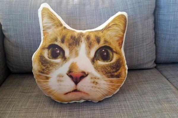 13 Kado yang Pasti Bikin Cat Lover Bahagia Gak Ketolongan