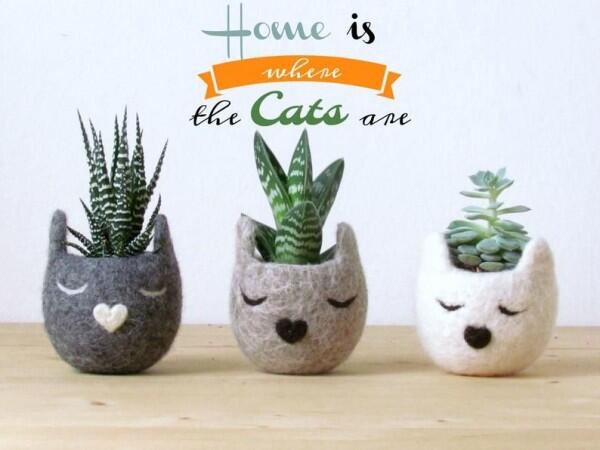 13 Kado yang Pasti Bikin Cat Lover Bahagia Gak Ketolongan