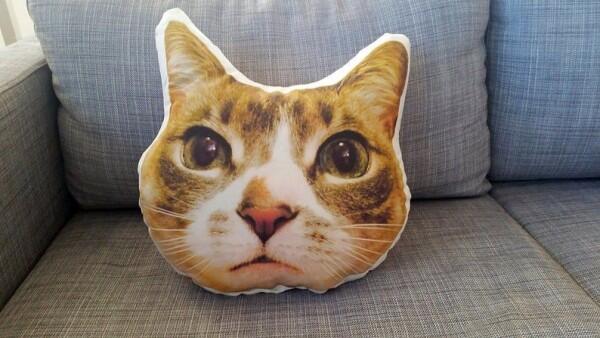 13 Kado yang Pasti Bikin Cat Lover Bahagia Gak Ketolongan