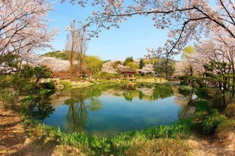 Tempat Wisata di Korea yang Instagramable Banget, Penasaran?