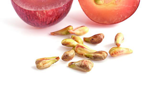 3 Tanaman Herbal untuk membunuh sel kanker