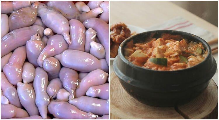 Sensasi Lezatnya Baegul, Kuliner Ekstrim Korea Yang Bisa Kalian Coba