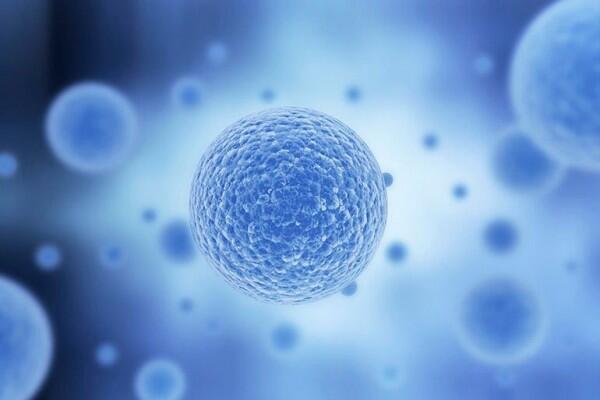 Punya Khasiat Anti-Aging yang Dewa, Apa Manfaat dan Risiko Stem Cell?