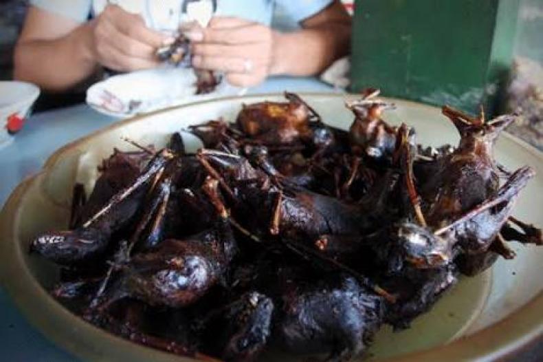 Tips Terhindar Virus Corona, Langsung dari Penjual Masakan Kelelawar!