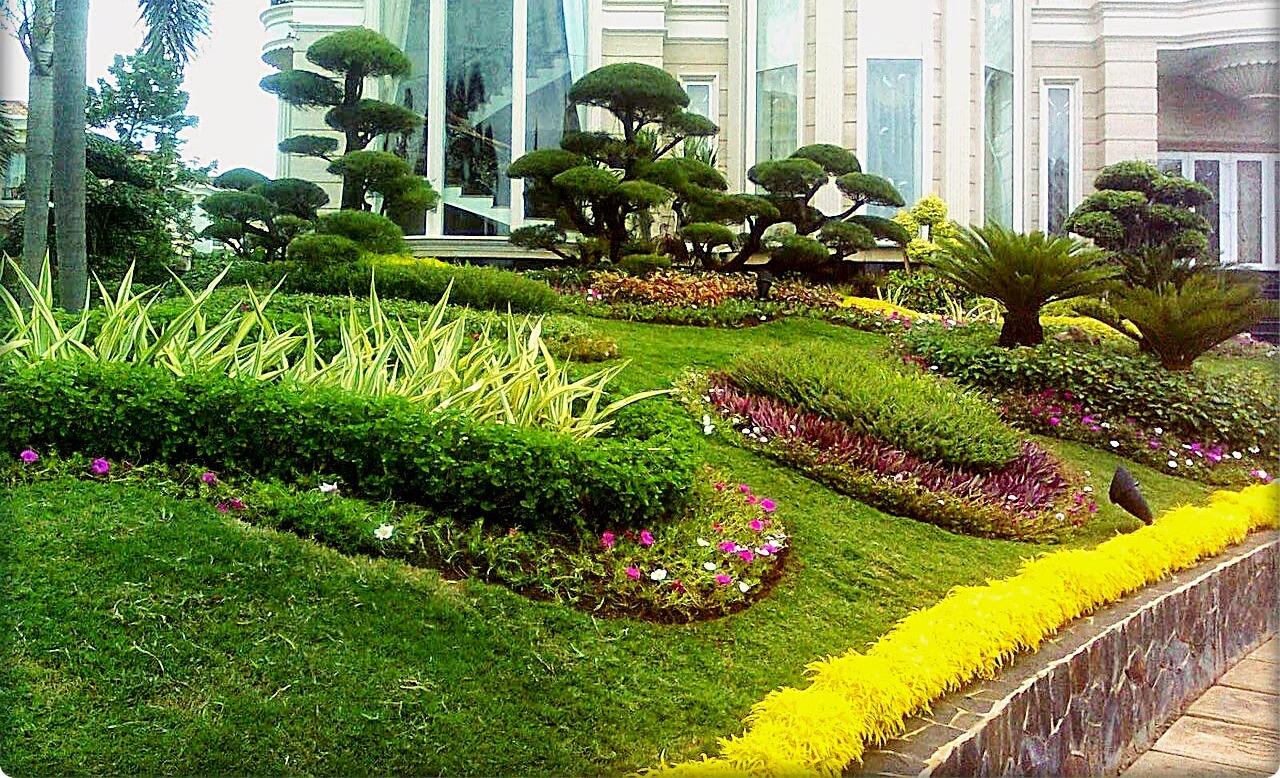 Anda mencari hotel dengan konsep minimalis yang efisien? Disini tempatnya!!!