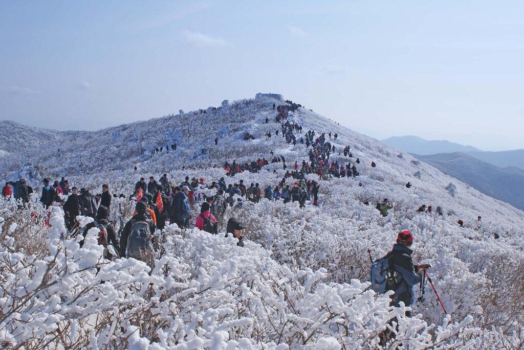 Seperti Inilah Pengalaman Serunya Bermain Salju Di Gunung Taebaeksan Korea !