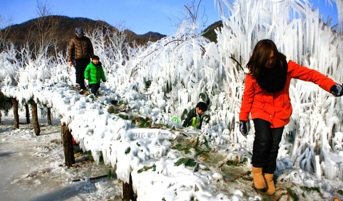 Seperti Inilah Pengalaman Serunya Bermain Salju Di Gunung Taebaeksan Korea !