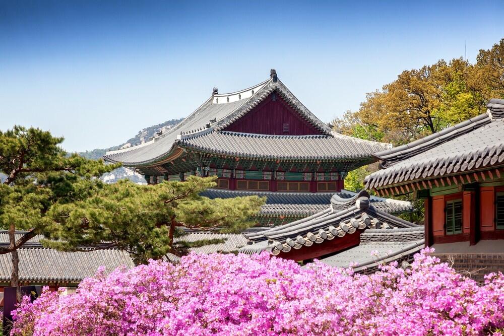 Menikmati Indahnya Warisan Dunia Di Istana Changdeokgung Korea Selatan