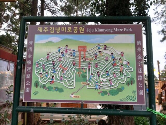 Kepoin Yuk, Wisata Alam Gimnyeong Maze Park! Ada Taman Labirin sama Kucing Loh Gan