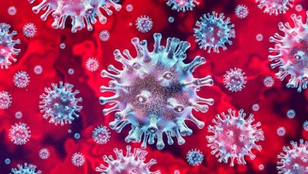 BERIKUT DAFTAR LOKASI KARANTINA VIRUS CORONA DI BERBAGAI NEGARA