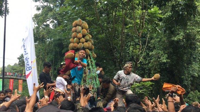 Sisi Lain Pekalongan, 'Surga'nya Para Pecinta Duren!