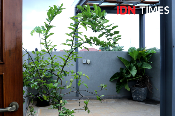 Solid Void House, Rumah Adem dan Hemat Energi di Area Tropis