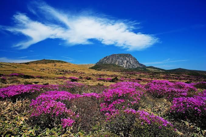 Rekomendasi Tempat Wisata Paling Indah di Korea Selatan