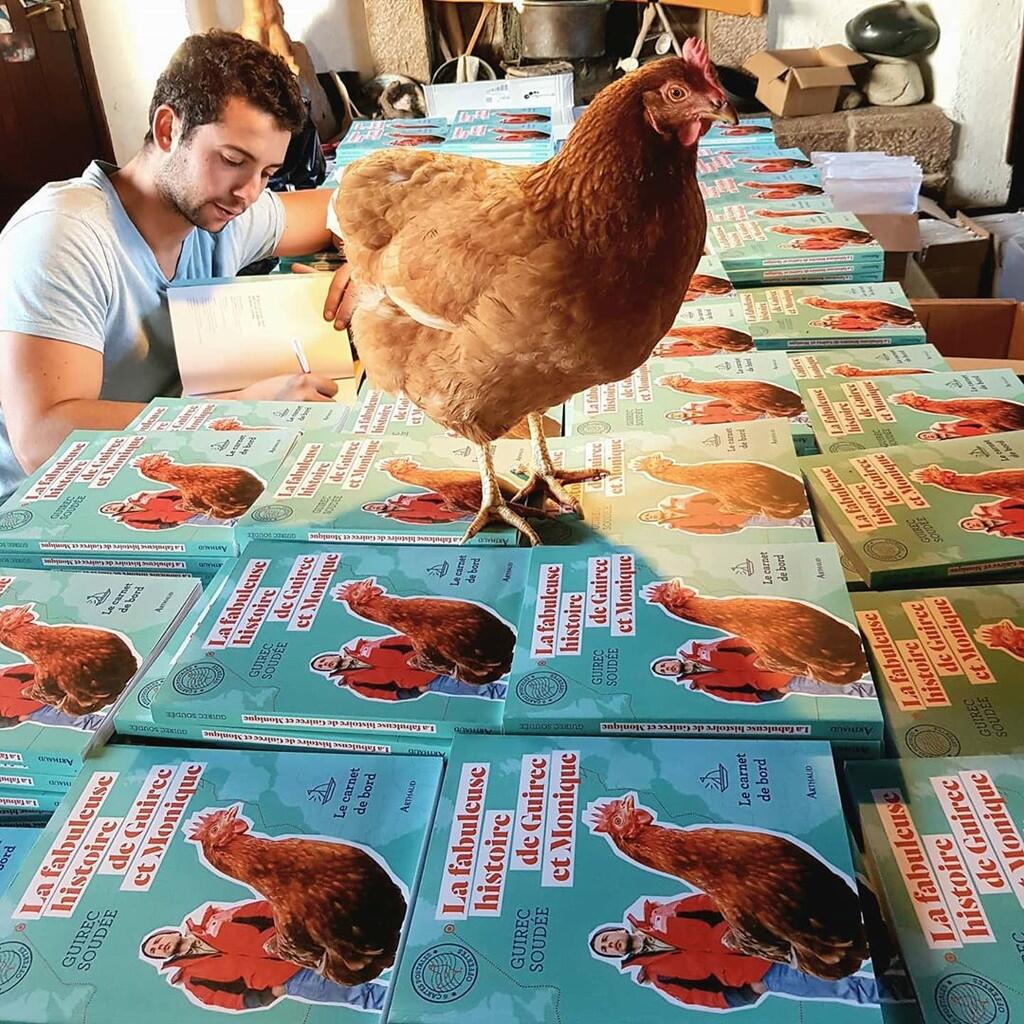 Pria Tampan Ini Memilih Berpetulang Dengan Seekor Ayam Dan Menjadi Viral Di Instagram