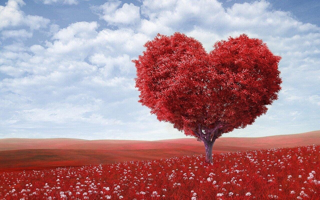 Koar-koar Menolak Valentine & Pacaran. Buat Apa?
