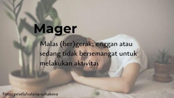 10 Kata Baru dalam Pemuktahiran KBBI Online, Ayam Geprek Ada Juga!