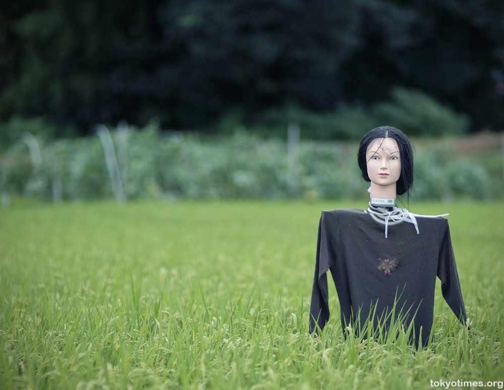 Dari Seram hingga Cantik dan Unik, Benarkah Orang-orangan Sawah Dapat Usir Hama?