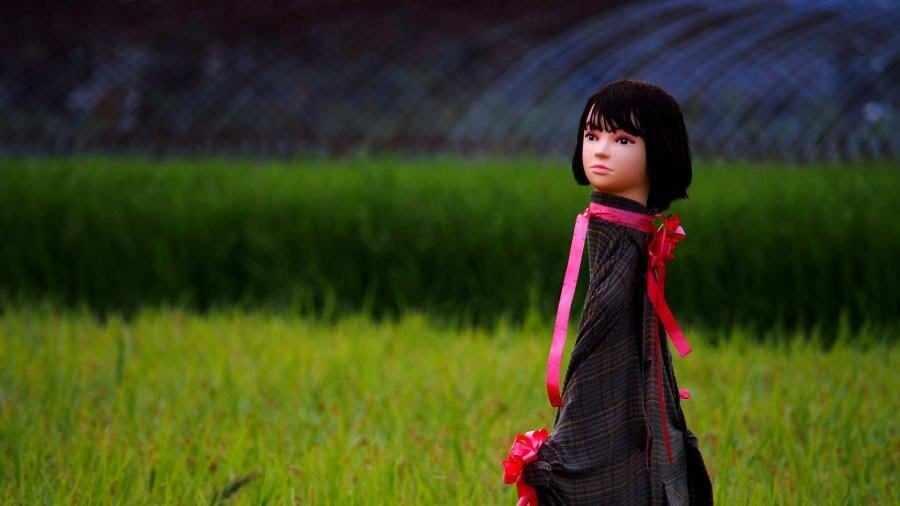 Dari Seram hingga Cantik dan Unik, Benarkah Orang-orangan Sawah Dapat Usir Hama?