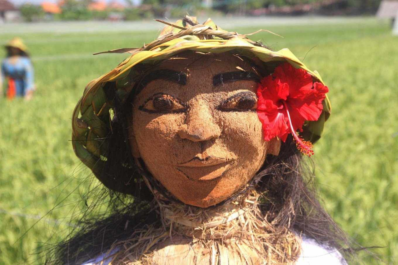 Dari Seram hingga Cantik dan Unik, Benarkah Orang-orangan Sawah Dapat Usir Hama?