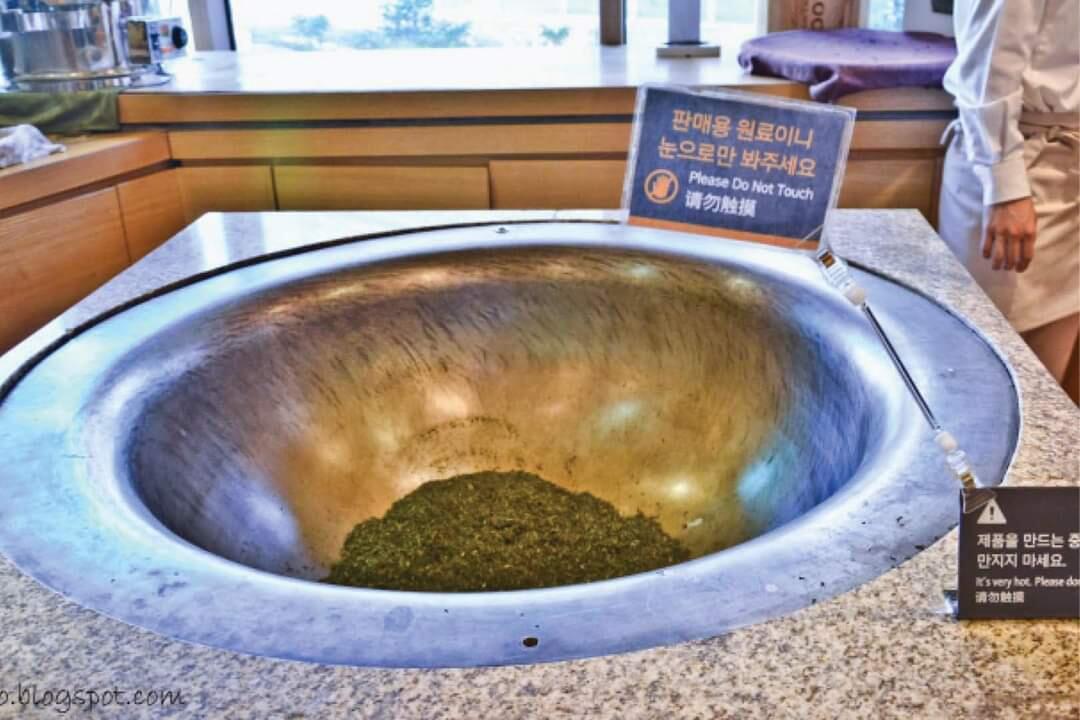Museum di Korea yang Unik, Nomer 3 Tak Sejijik yang Gansist Bayangkan Lho