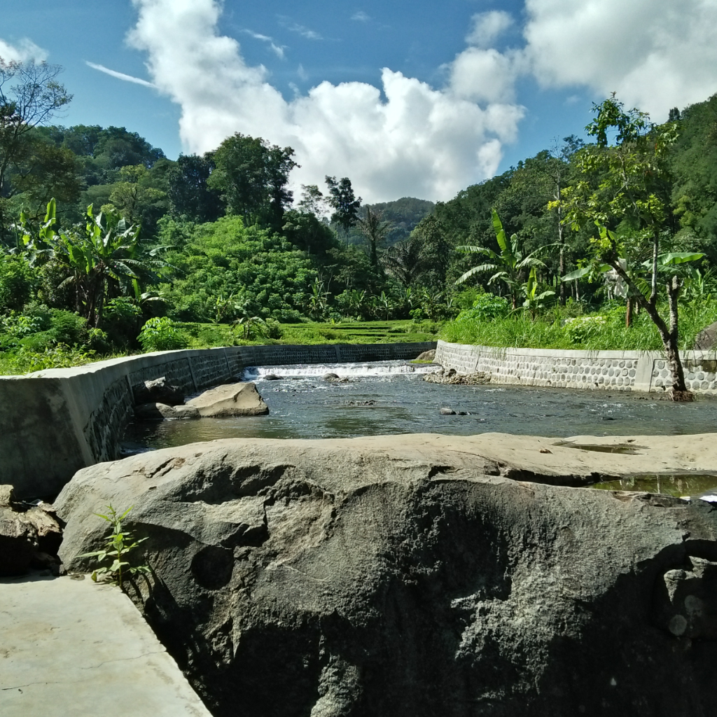 &#91;COC Regional : Tempat Wisata&#93; Wisata Hutan Pinus Kebanggaan Kabupaten Madiun