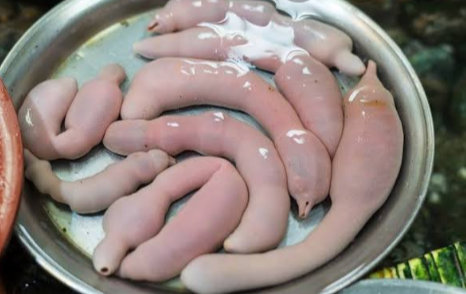 Berani Coba? Deretan Makanan Bernuansa Laut Khas Korea! Yang Terakhir Antimainstream!