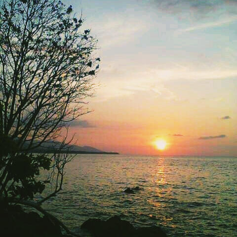 Beberapa pantai di flores yang wajib dikunjungi.