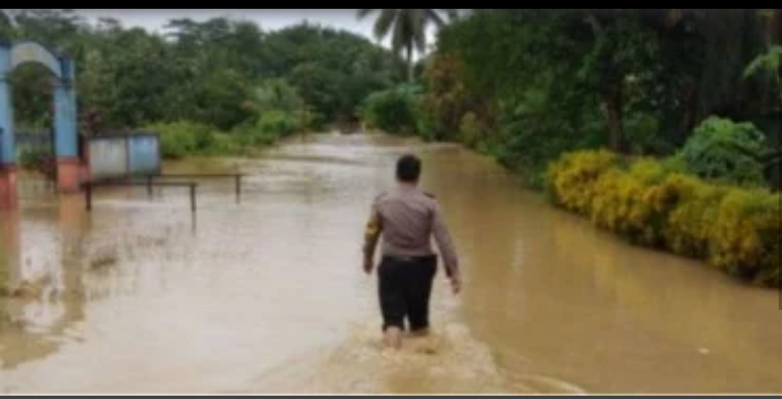 Kata Jokowi Calon Ibu Kota Baru Tidak Ada Banjir, Tapi Buktinya?

