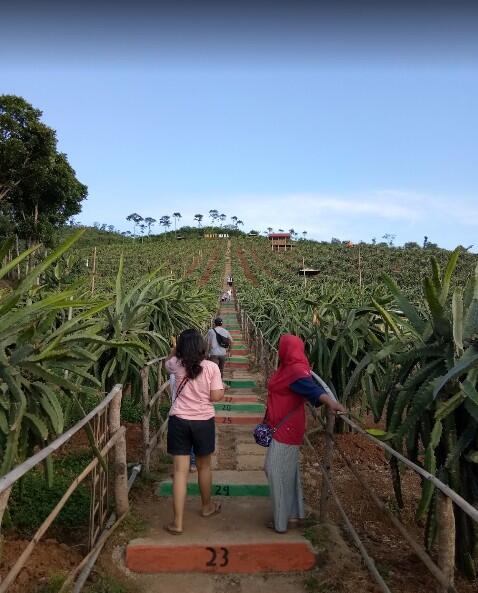 &#91;COC Regional: Lokasi Wisata&#93; Pesona Alam Bukit Naga Agro Jollong Gembong