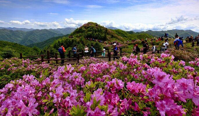 5 Tempat Wisata Untuk Mengikuti Festival di Korea