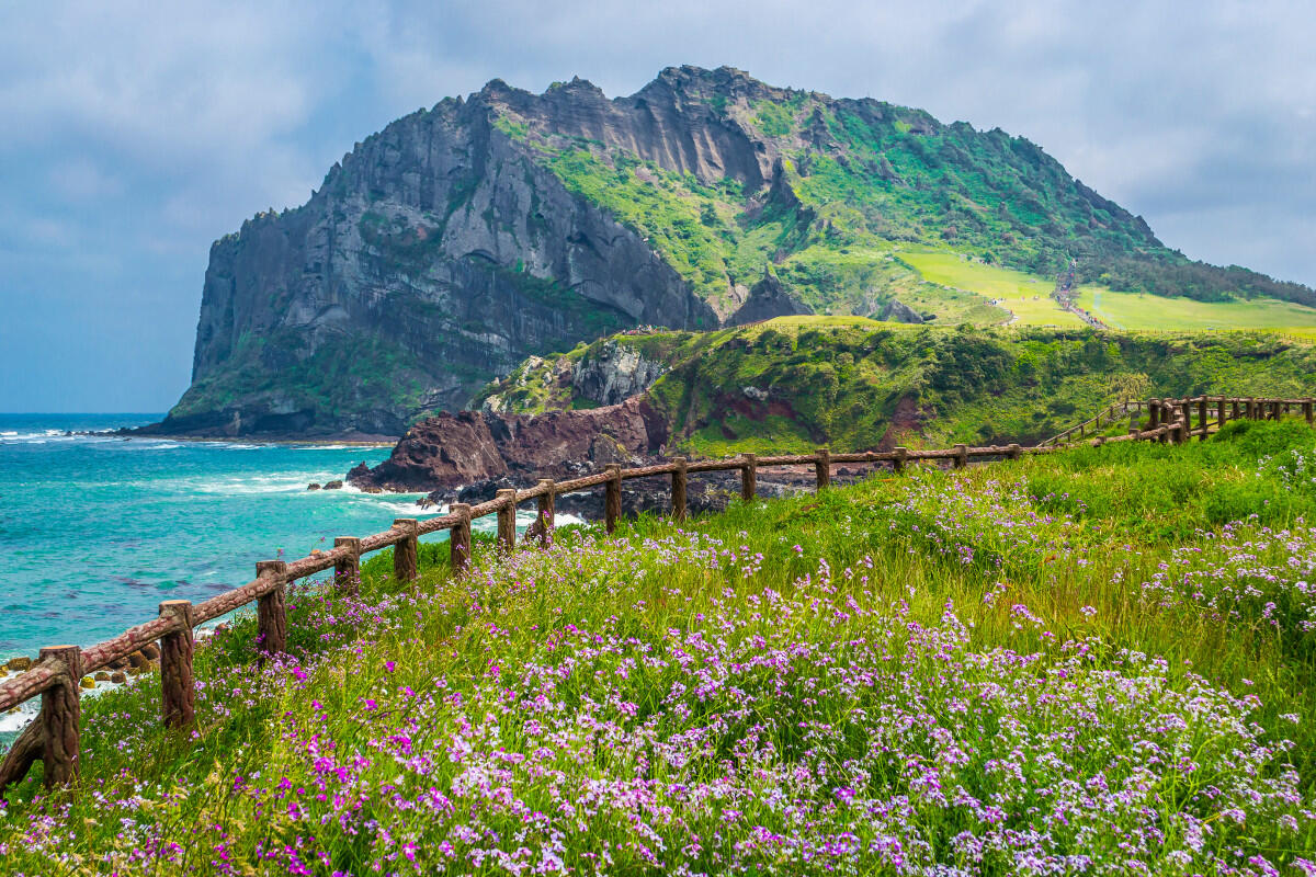Mengenal Pulau Jeju Pulau Balinya Korea Selatan