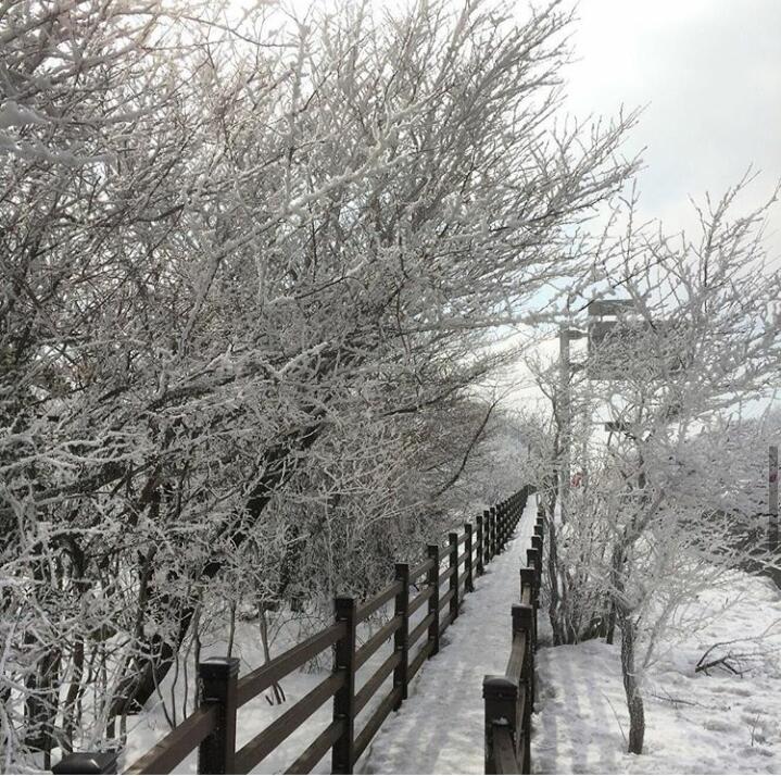 Apa Sih Yang Menarik Di Pulai Jeju?