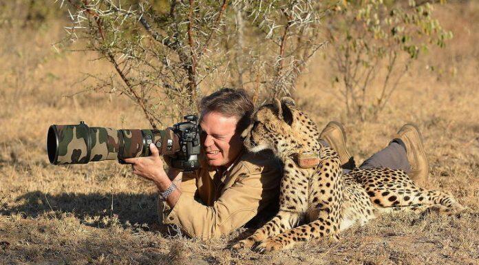 Menakjubkan! Hasil Potret Kreatif Kontes Fotografi Satwa Ini Sangat Lucu dan Gemesin