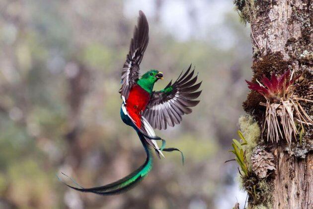 Menakjubkan! Hasil Potret Kreatif Kontes Fotografi Satwa Ini Sangat Lucu dan Gemesin