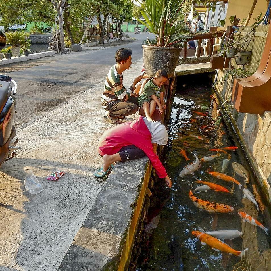 Bagaimana Rasanya Jika Selokan Berubah Menjadi Kolam Ikan ...