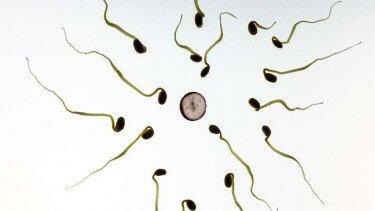Jual Beli Sperma Bisa Kena Pidana dan Denda Rp5 Miliar