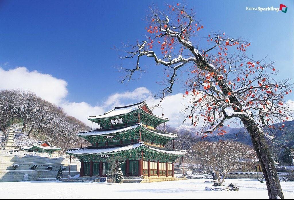 Asyiknya Menikmati Liburan Dengan Tenang Di Kuil Geumsansa, Korea Selatan