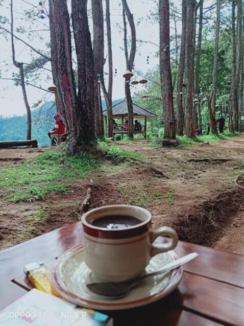 &#91;COC Regional: Lokasi Wisata&#93; Indahnya Pesona Alam di Hutan Pinus Pangonan Gunungsari