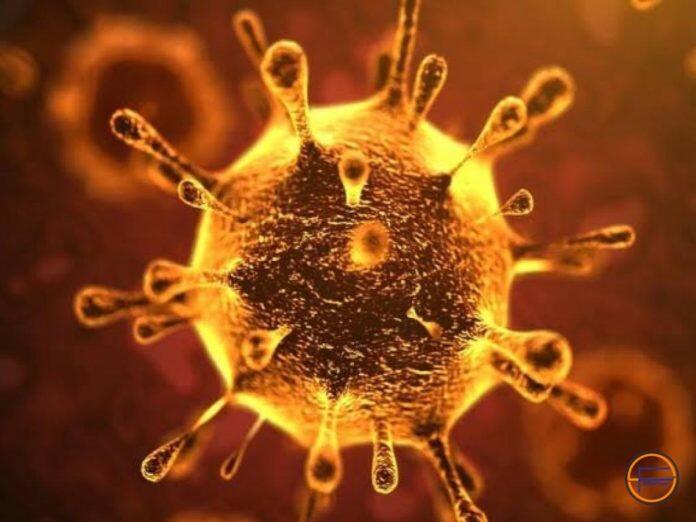 Hore Cina Menang, Segera Pasarkan Obat Manjur Basmi Corona