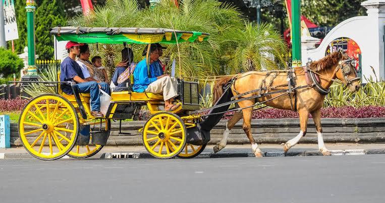 Transportasi Unik Di Dunia