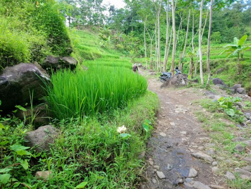 &#91;COC Regional: Lokasi Wisata&#93; Keindahan Alam Mbung Mini &amp; Grejengan Sewu Jrahi