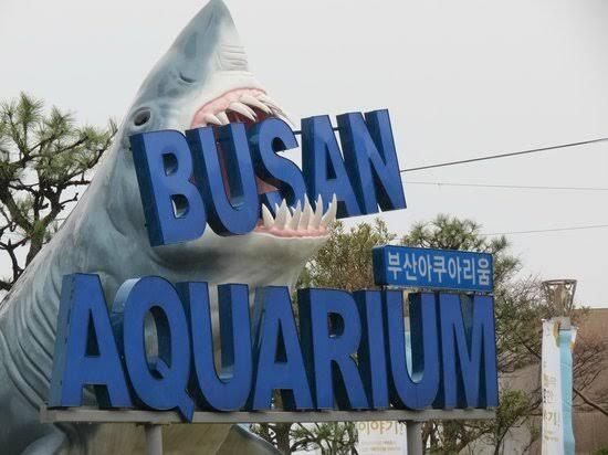 5 Tempat Wisata di Korea Selatan yang Cocok Buat Liburan Bersama Anak-Anak